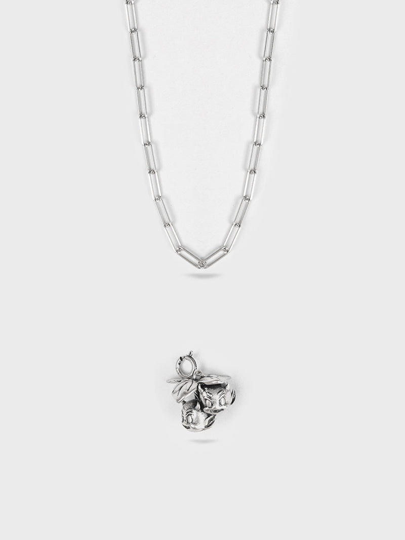 Necklace & Charm Bundle